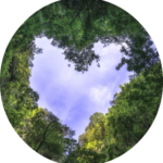 Trauer und Liebe in Taunusstein